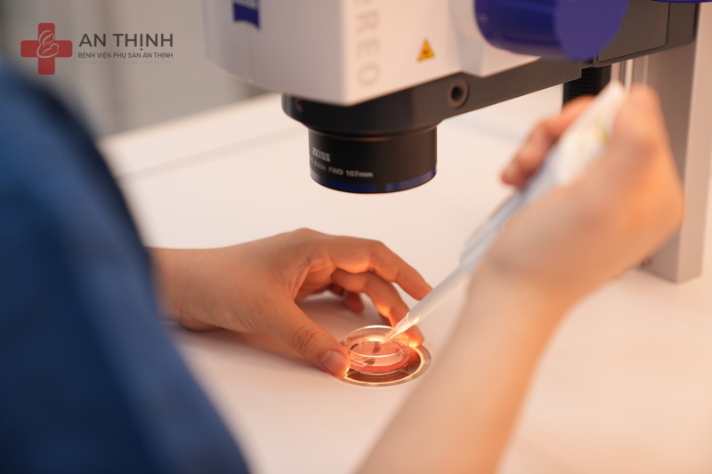 Thụ tinh và nuôi cấy phôi